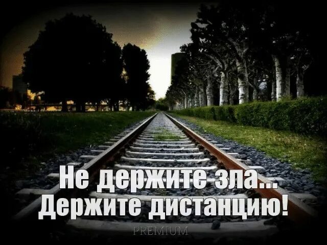 Нужно держать на расстоянии. Зла не держу держу дистанцию. Держаться на расстоянии. Зла не держу держу дистанцию картинки. Не держите зла на людей держите дистанцию.