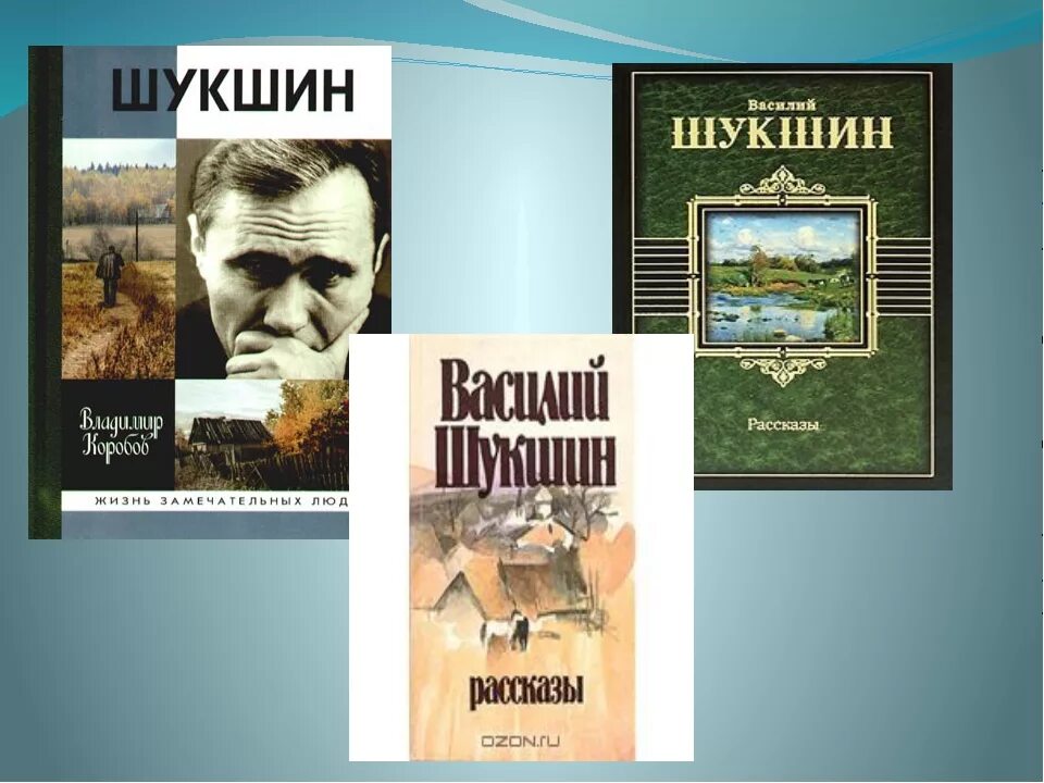 Рассказ обида краткое содержание. Шукшин писатель.