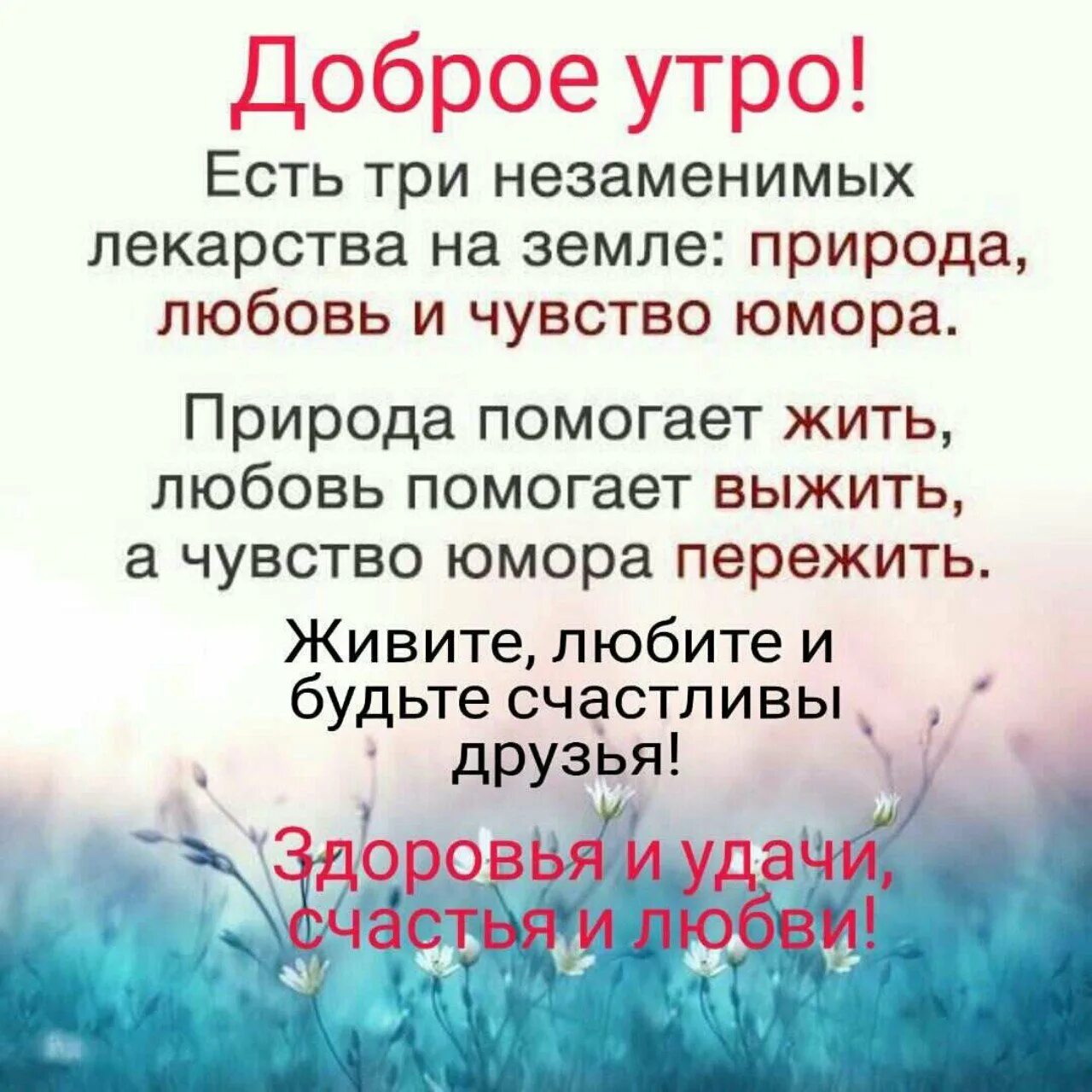 Доброе утро цитаты. Доброе утро Мудрые пожелания. Пожелания с добрым утром со смыслом. Умные пожелания с добрым утром. Доброе утро душевное со смыслом