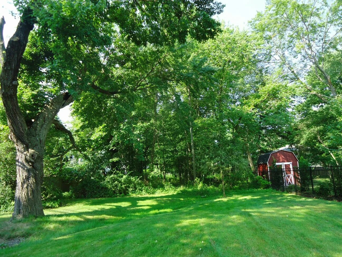 Area near. Беркли Хайтс. Berkeley heights, New Jersey. Wooded area.