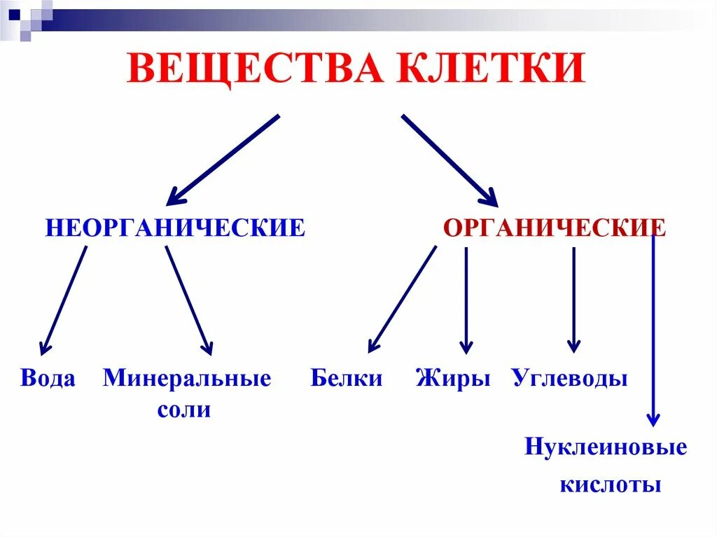 Органическим является