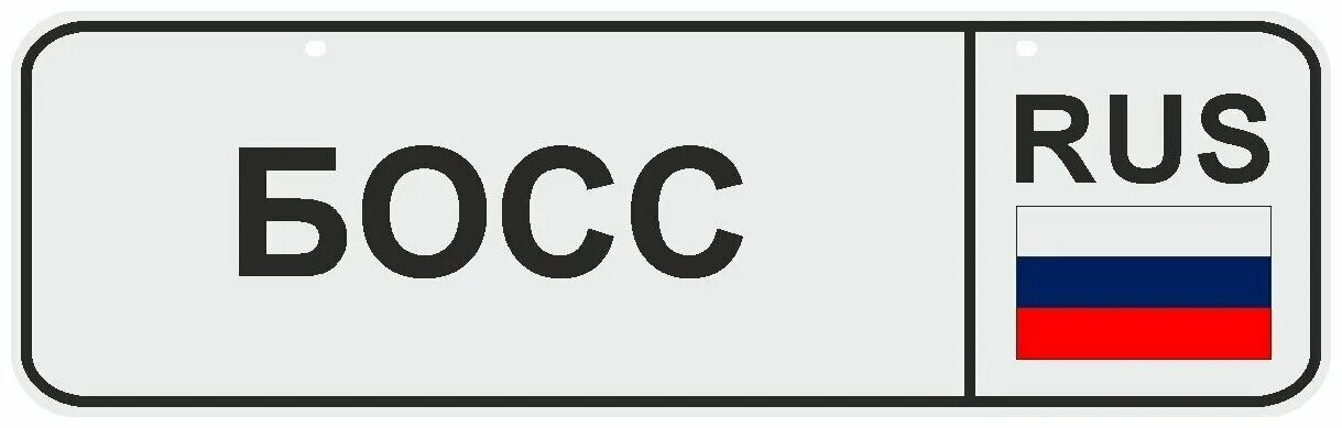 Сувенирные номера на автомобиль. Свои номера на машину сувенирные. Номера босс. Номера босс. Гос номер босс.