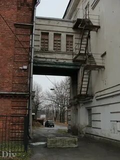 Пту 81