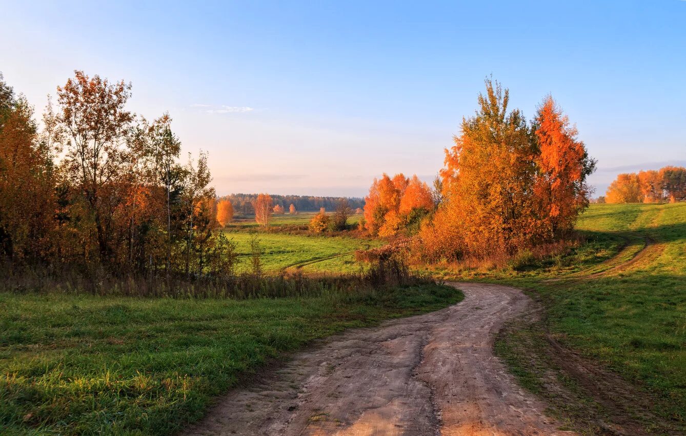 Золотая осень Шебекино. Деревня осенью Беларусь. Осень в деревне. Осенний пейзаж. Осень дорога в деревне