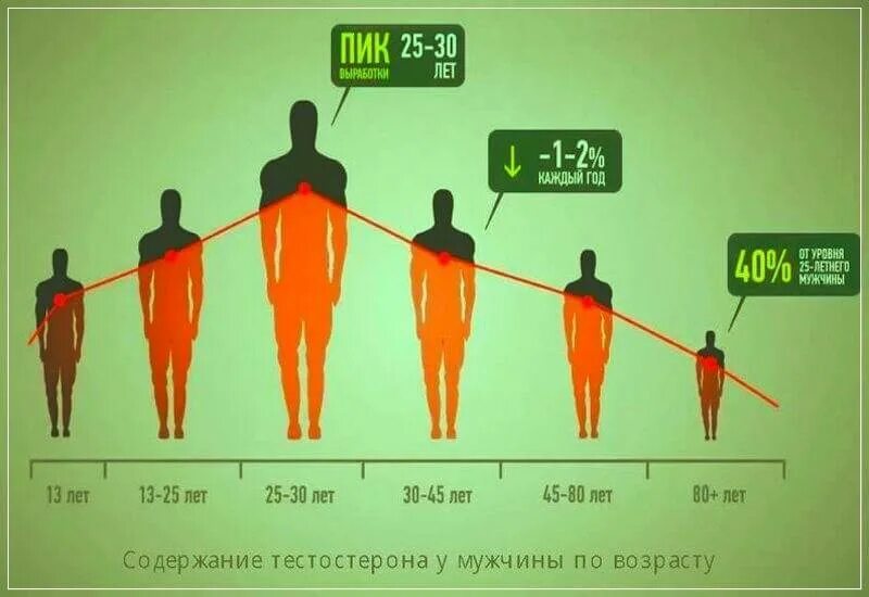 Как повышался уровень людей. Уровень выработки тестостерона. Показатели высокого тестостерона. Выработка тестостерона по возрасту у мужчин. Показатели высокого тестостерона у мужчин.