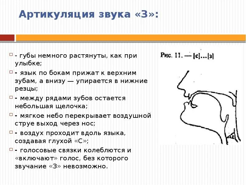 Описание артикуляции. Правильная артикуляция звука ц. Артикуляционный профиль свистящих звуков. Артикуляционная характеристика звука з. Правильная артикуляция звука ц для детей.