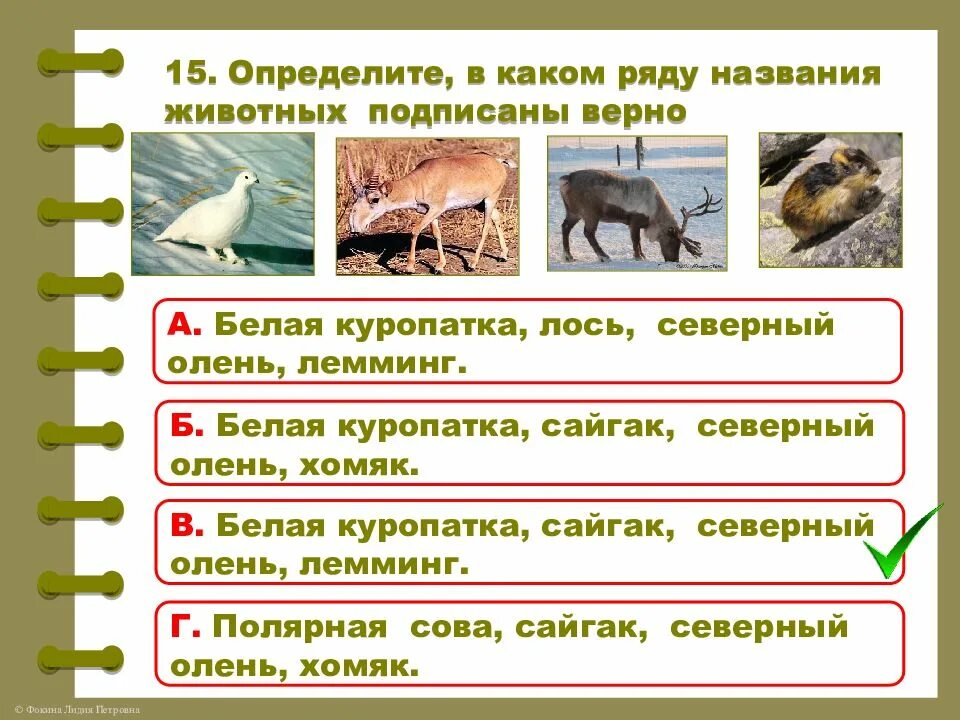 Животные природных зон 4 класс. Задания по природным зонам. Природные зоны ВПР 4 класс окружающий. Задания по природным зонам России. Природные зоны России ВПР 4 класс окружающий.