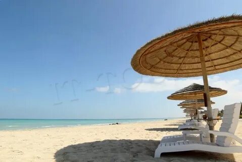 Danat jebel dhanna resort 5 отзывы