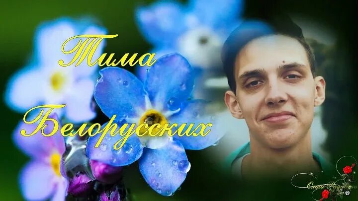 Незабудка твой любимый цветок Тима белорусских. Белорусских Незабудка. Незабудка певец. Тим белорусских незабудки.