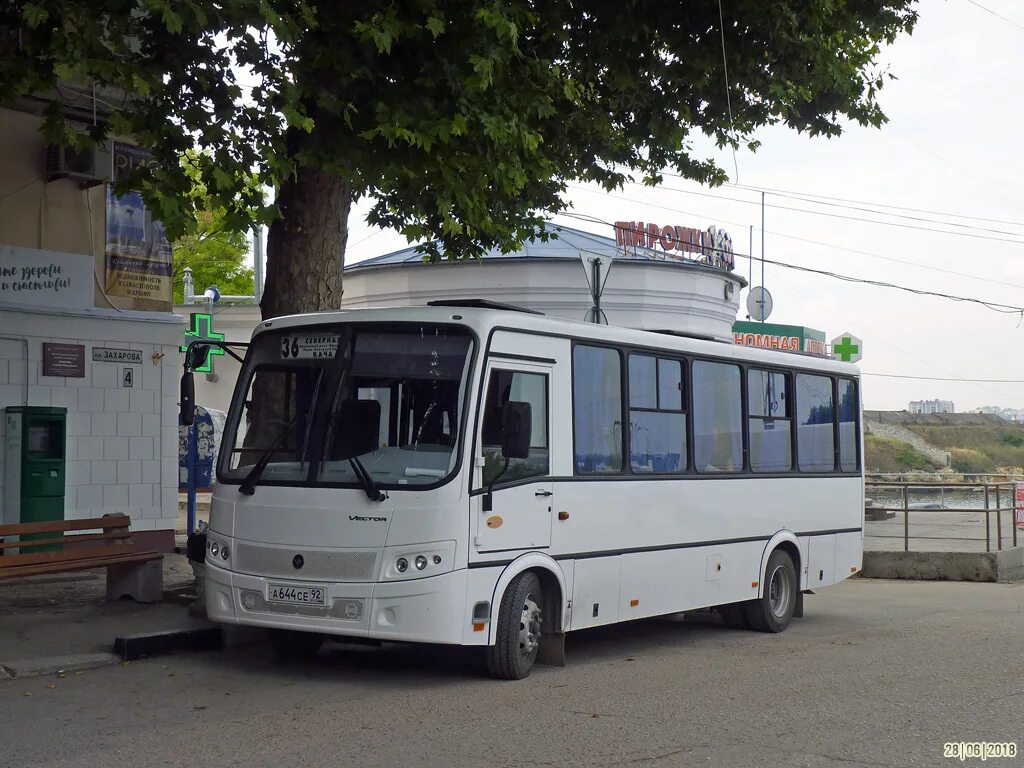 Автобусы кача севастополь расписание. Автобус 48 ПАЗ Севастополь. Севастополь автобус ПАЗ 320412.04. ПАЗ 320412 вектор Севастополь. 137 Автобус Севастополь кача.