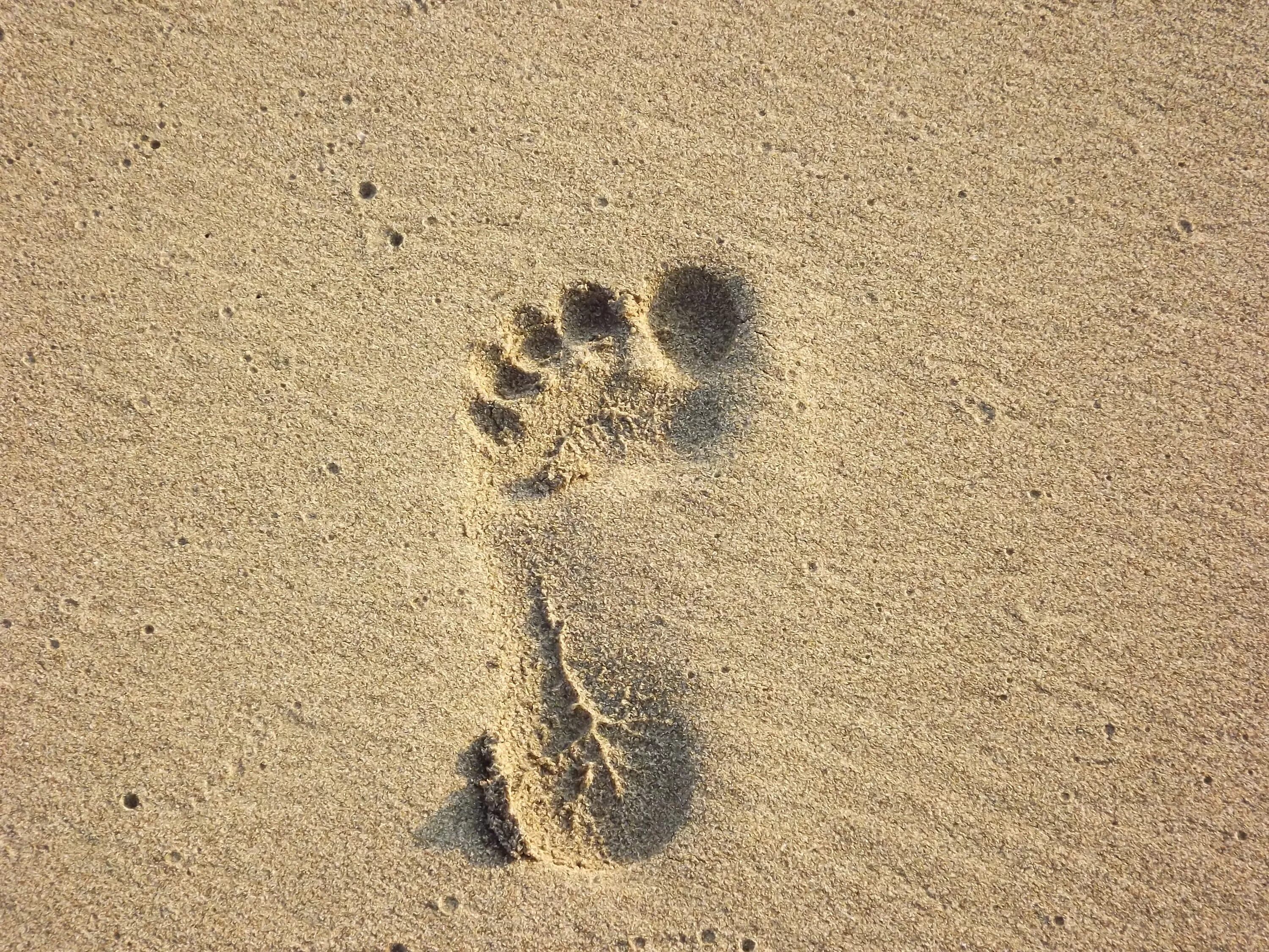 След в истории. Следы. Отпечаток ноги на песке. Поверхностные следы ног. Отпечаток босой ноги.