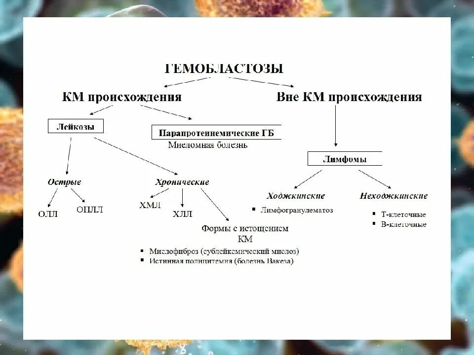 Гемобластозы классификация схема. Гемобластозы патогенез. Гемобластозы у детей классификация. Патогенез гемобластозов.