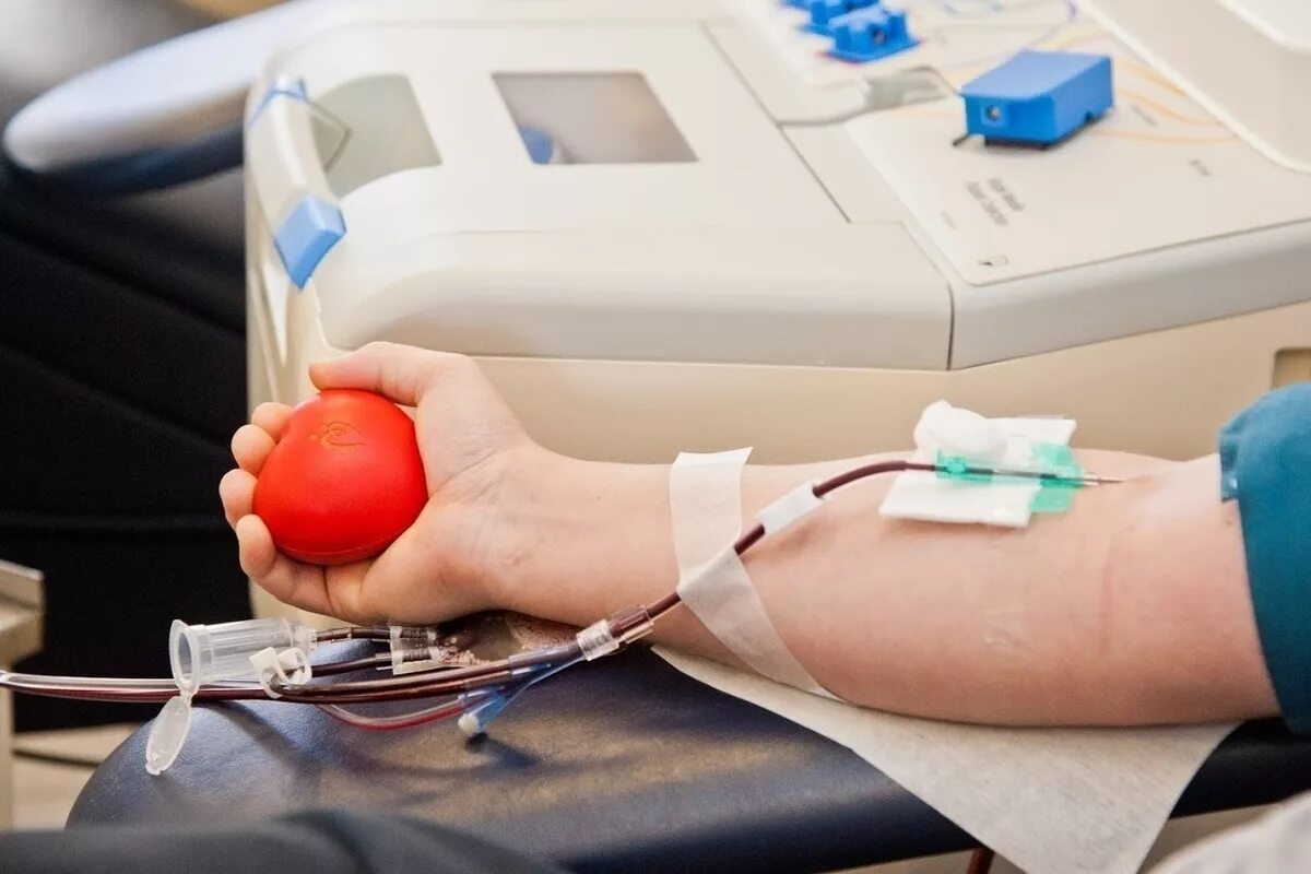 Донор крови волгоград. Донорство крови. Первое переливание крови.