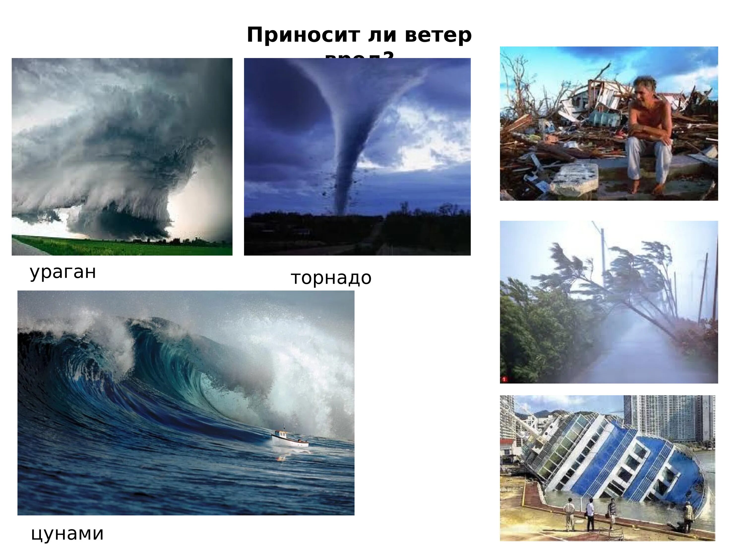 Какой вред от дождя 1. Вред ветра. Ураган смерч буря различия. Польза ветра. Польза ветра для дошкольников.