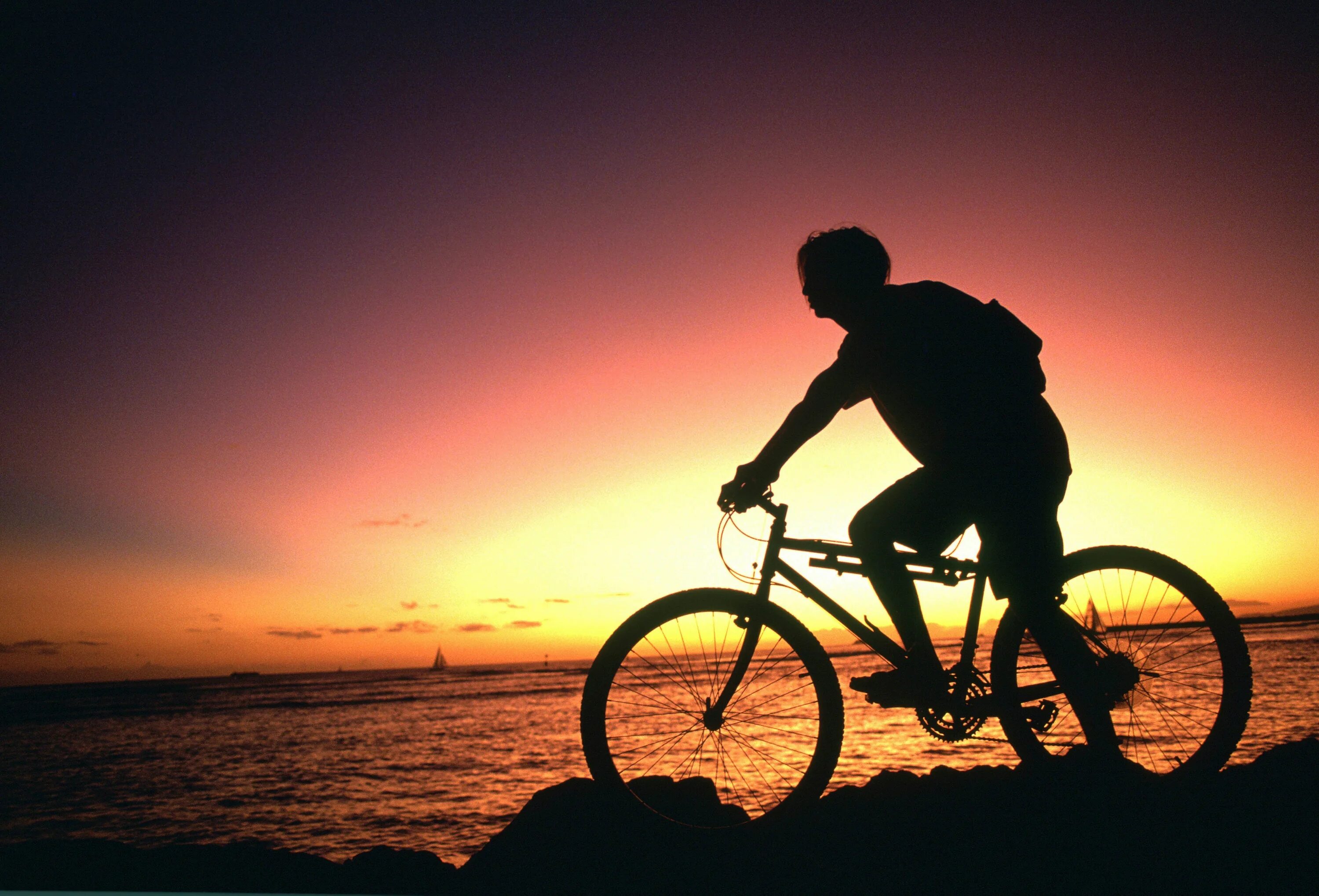 Велосипед в горах. Поэмы велосипед. Горный велосипед как хобби. Bicycle poem. I like riding a bike