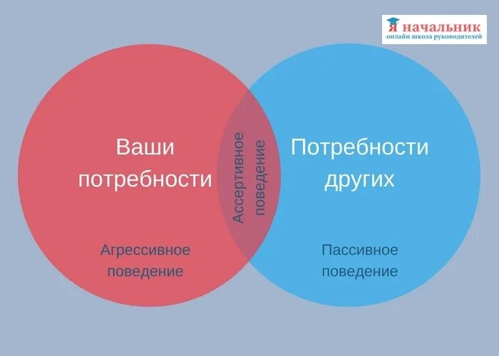 Навык доверия. Ассертивное поведение. Принципы ассертивного поведения. Что такое Ассертивность и ассертивное поведение. Ассертивность и агрессивность.