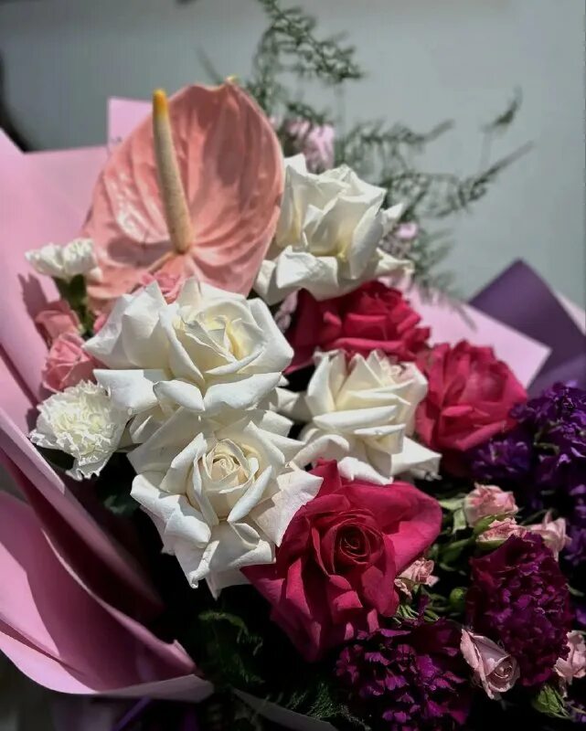 розы махачкала