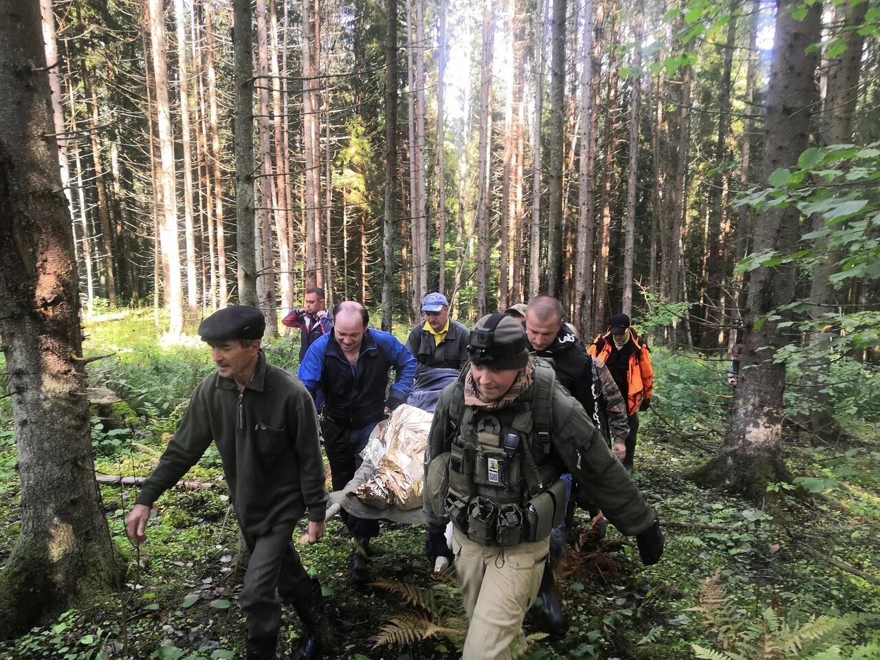 человек потерялся в лесу. подросток заблудился в лесу. человек заблудился в лесу. поисковик лиза алерт в лесу. история потерявшихся в лесу.