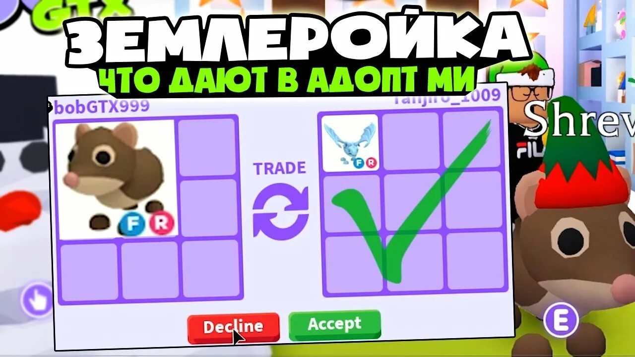 Еж адопт. Землеройка адопт ми. фр землеройка в адопт ми. еж адопт ми. еж роблокс.