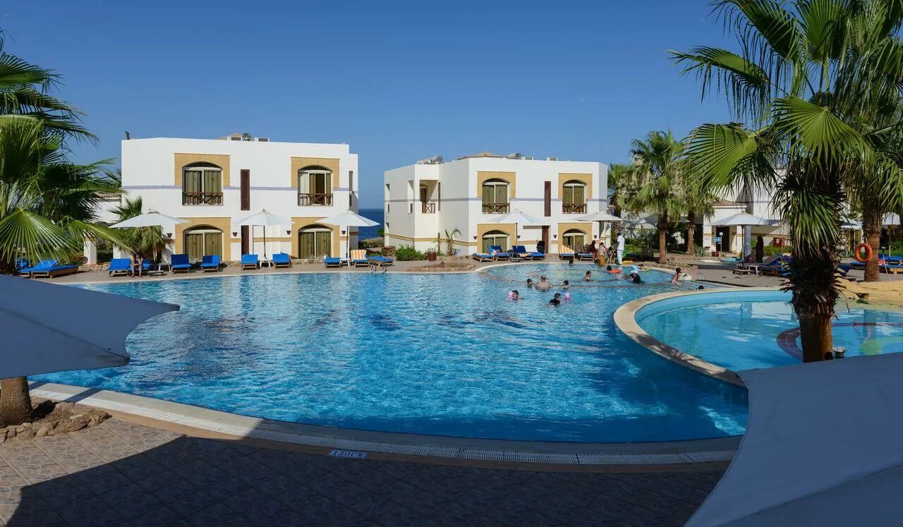 Shores Aloha Resort 4 Шарм-Эль-Шейх. Otium Park Amphoras Blu Resort 4 Египет Шарм-Эль-Шейх. Отель Шорес АЛОХА Египет. Отель отиум парк Египет.