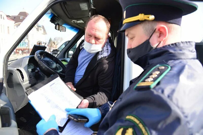 Возить проверяемое. Возить проверяемое
