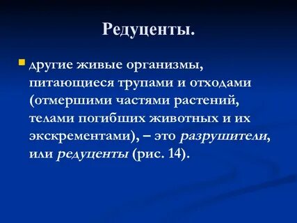 Редуценты примеры живых организмов