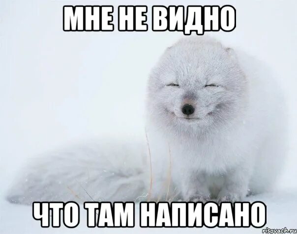 Почти что там написано