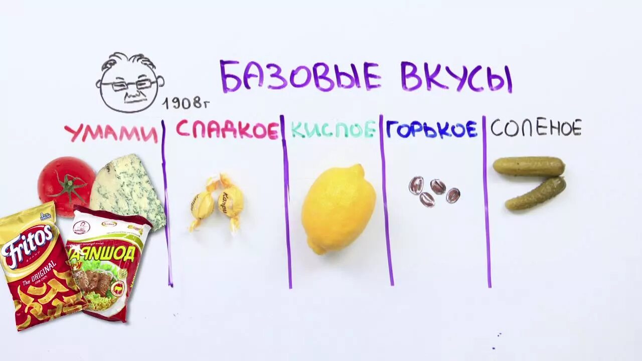 Какие пять вкусов. Вкус разновидности. Основные вкусы. Базовые вкусы человека. Пять видов вкуса.