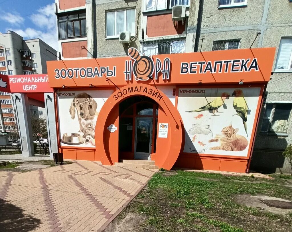 ул вл невского 19 воронеж. воронеж ул владимира. владимира невского, д. владимира невского 38а воронеж. ул.