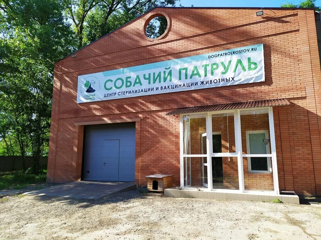 Доватора 144. Собачий патруль ростов на дону дгту. Зоозащитная организация «собачий патруль». Собачий патруль ростов. Собачий патруль ростов.