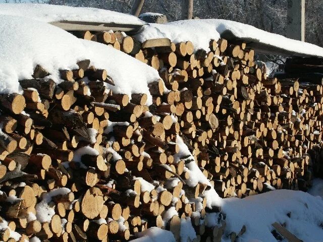 Погода титовка алтайский край егорьевский. Малая Шелковка Алтайский край. Малая Шелковка Егорьевский район Алтайский край. Экономика Егорьевского района Алтайского края. Егорьевский район Алтайский край горка.