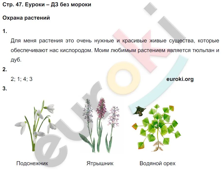 Охрана растений задания. Охрана растений 3 класс Плешаков. Охрана растений 3 класс окружающий мир. Задание по окружающему миру охрана растений.