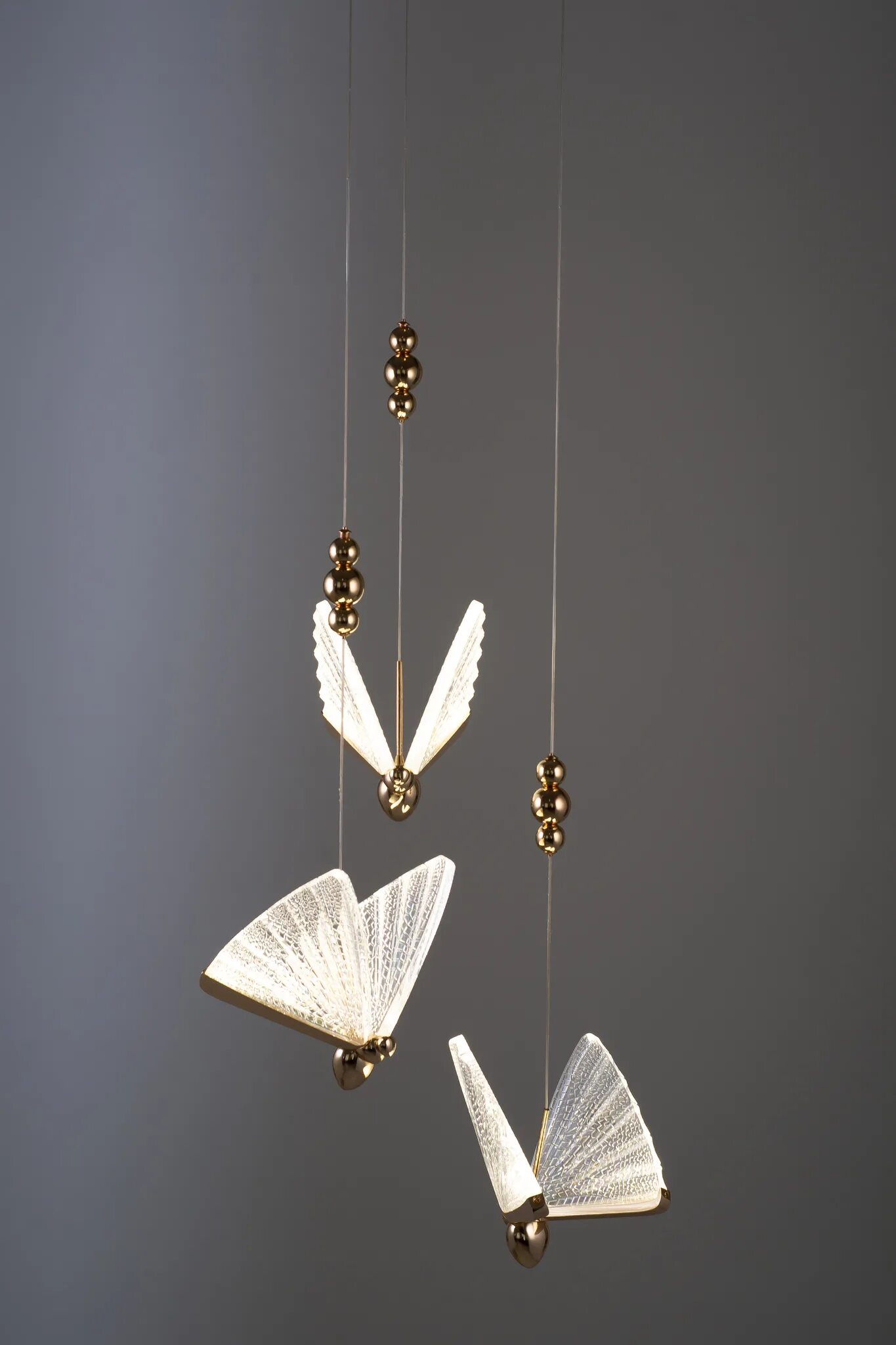 Люстра the fluttering butterfly. Люстра the fluttering butterfly round 6. Дизайнерские бра butterfly. Бабочка limenitis archippus. Бра the fluttering butterfly a.