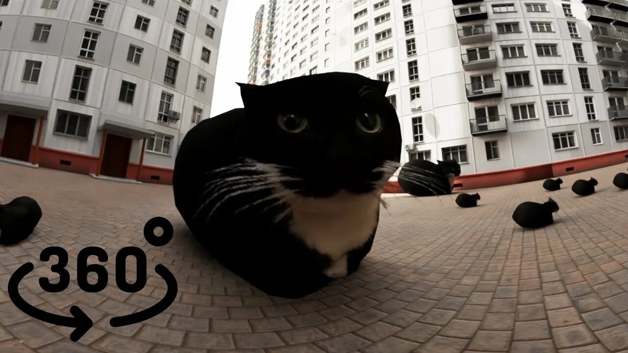 Maxwell the Cat But Animated in Famous Places - YouTube