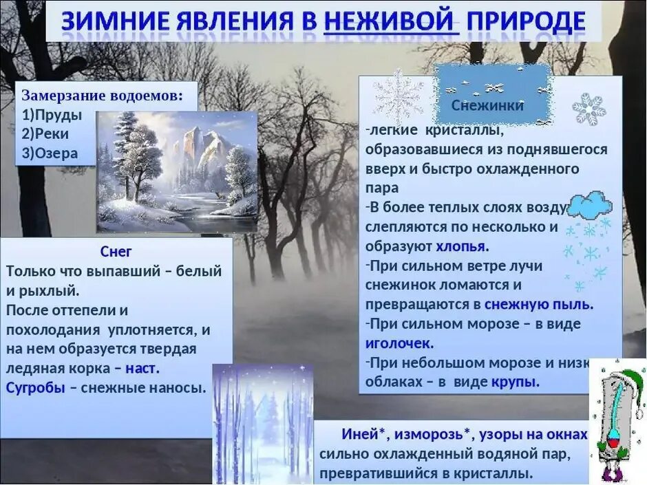 Изменения в неживой природе зимой биология. Явления природы зимой. Зимние явления в живой природе. Зимние явления в неживой природе. Явления живой природы зимой.