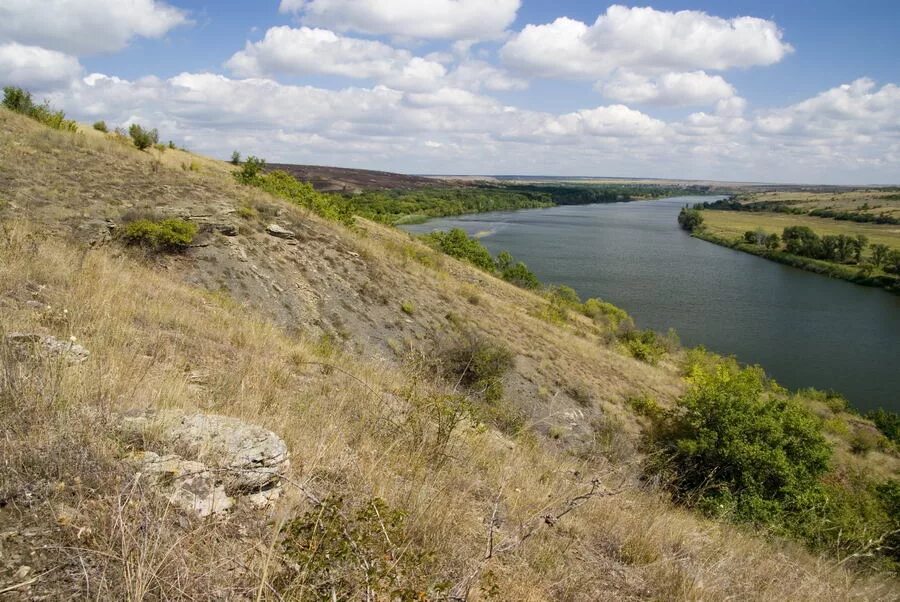 Северский донец впадает. Устье северского донца. белая гора луганская область северский донец. берег северского донца. урочище орлинка каменский район.