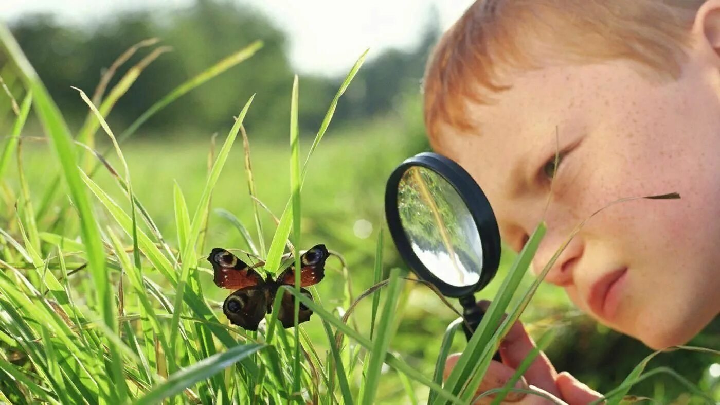 Ютуб интересное и познавательное. Дети изучают природу. Изучение природы. Ребенок наблюдает.