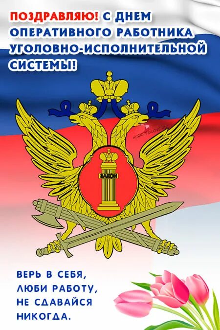 Поздравление с днем оперативного работника. С днем оперативного работника УИС. Открытка с днем оперативного работника УИС. Поздравления с днем сотрудника УИС.