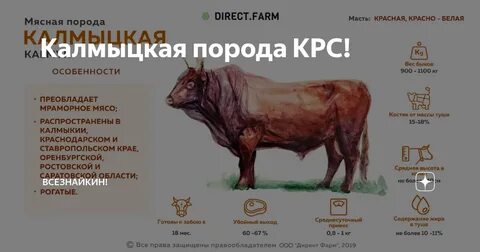 Год быка мясо