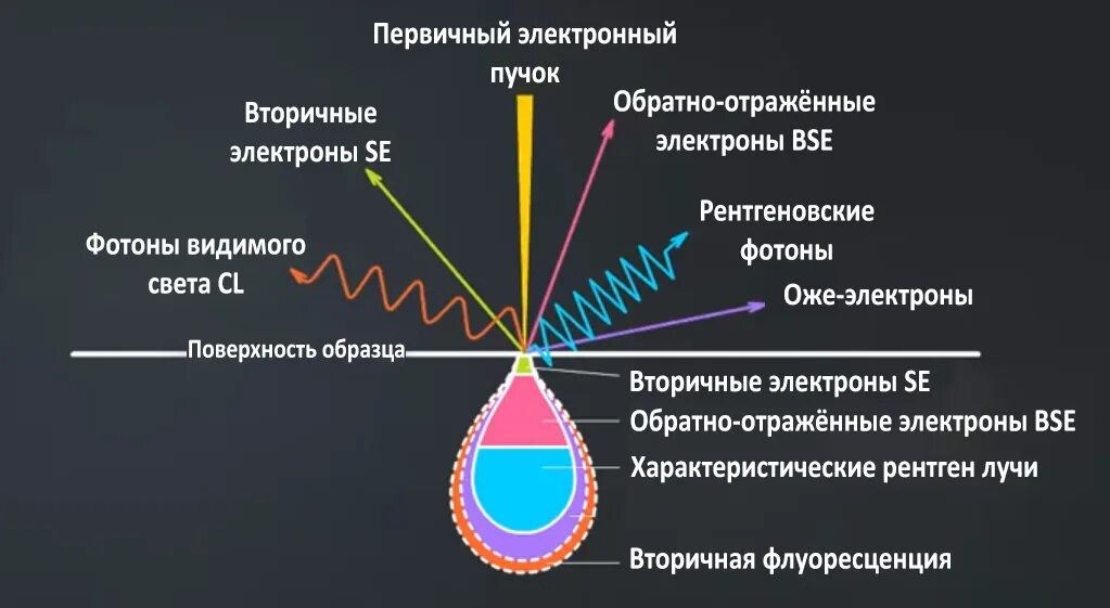 Генерация рентгеновского излучения. Первичные и вторичные лучи рентген. Обратно отраженные электроны. Взаимодействие пучка электронов с поверхностью вторичные электроны. Что генерирует рентгеновское