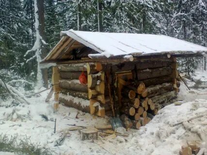Зимовье ударение