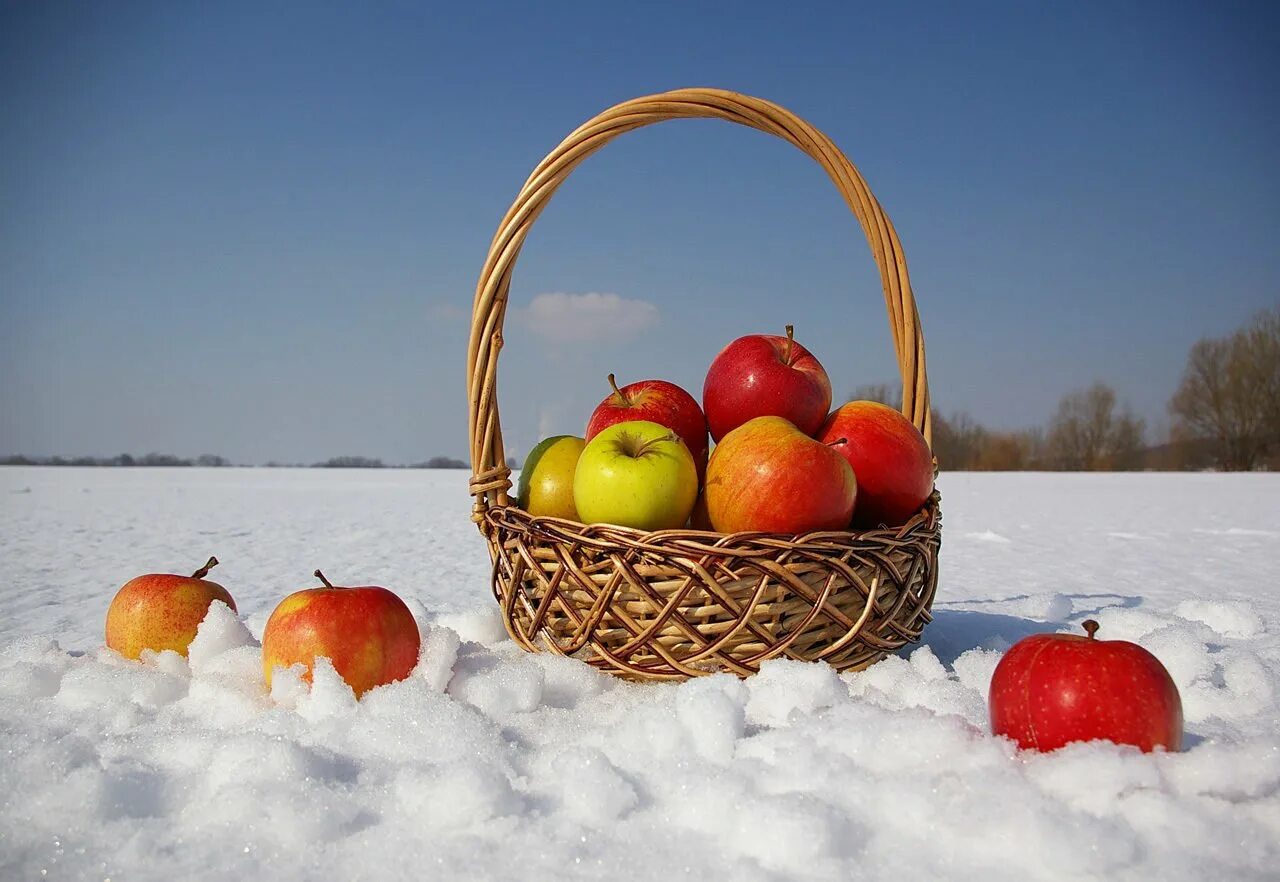 Зимние яблоки. Корзинка с яблоками. Яблоки на снегу. Красивые зимние яблоки в корзинке. Фруктовая зима