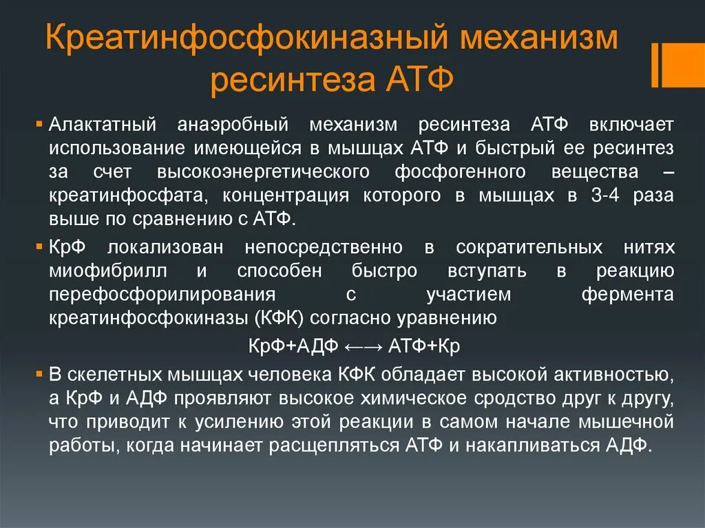 Механизм ресинтеза атф. Креатинфосфокиназный (алактатный) анаэробный механизм ресинтеза АТФ. Аэробный механизм энергообеспечения. Механизмы ресинтеза АТФ таблица. Роль АТФ В мышечной деятельности.