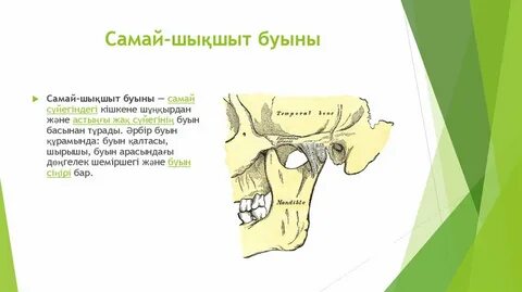 Еркектің емшегін жалаған порносы