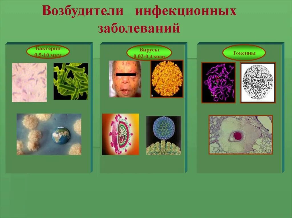 Заболевания передающиеся микроорганизмами