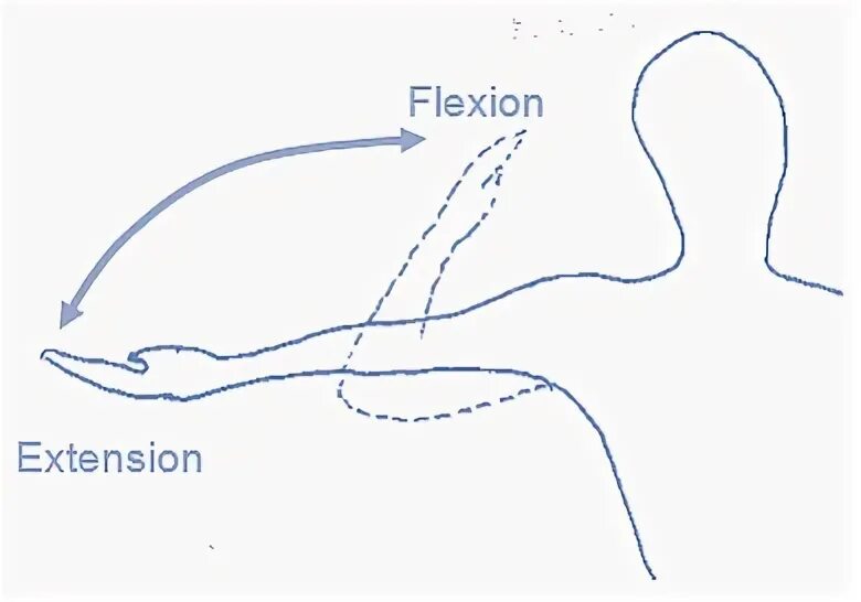 V extension. Flexion Extension. Стельки flexion Cat. Flexion очки. Flexion Advanced от CJ-Optik.