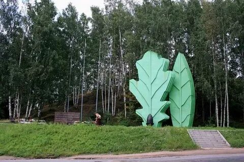 Что строят на дороге жизни на горе