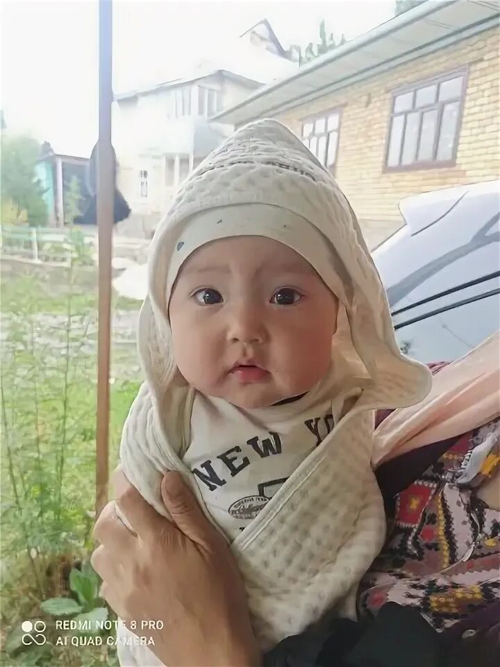 Оша 100. Оша 100