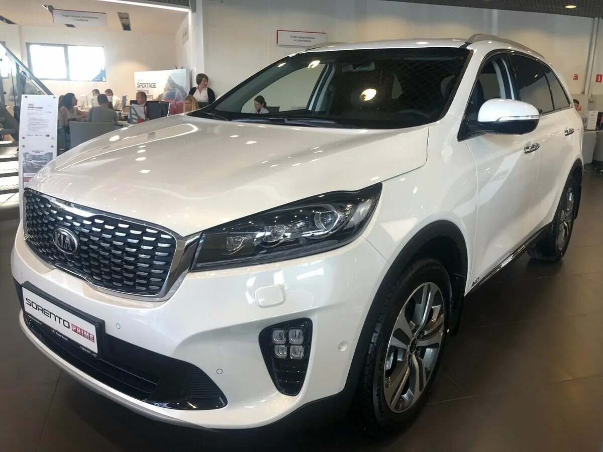 Kia Sorento 2020. Киа Соренто 2020 белая. Новую белую Киа Соренто. Kia Sorento 2019.