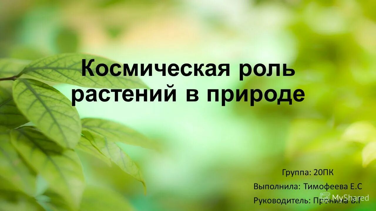 Что такое космическая роль растений